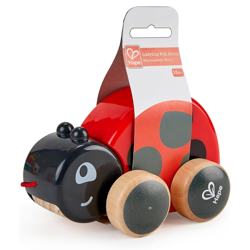 Ladybug Pull Along E0362