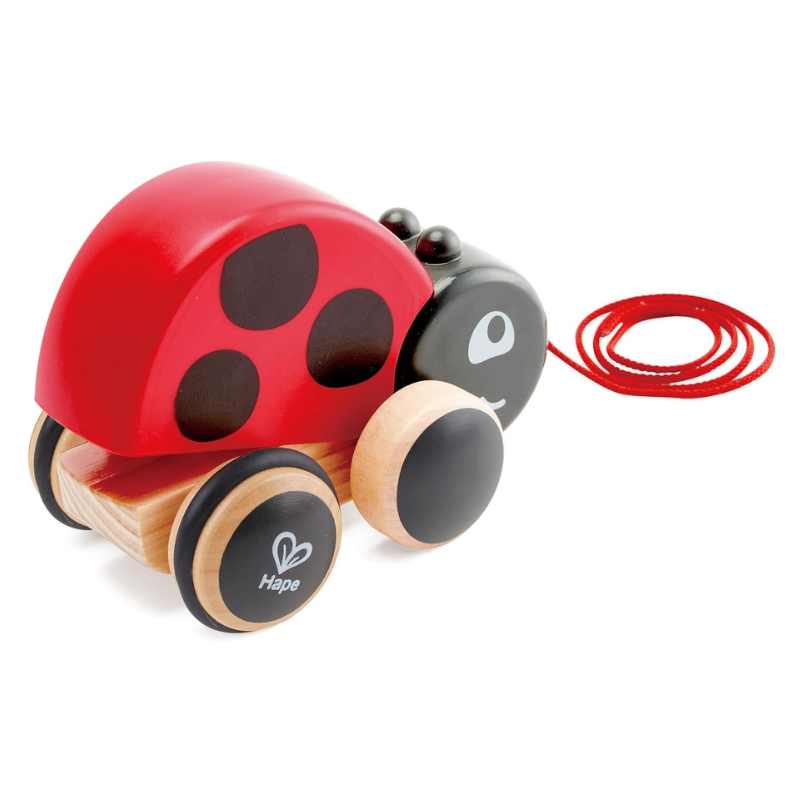 Ladybug Pull Along E0362 - Image 2