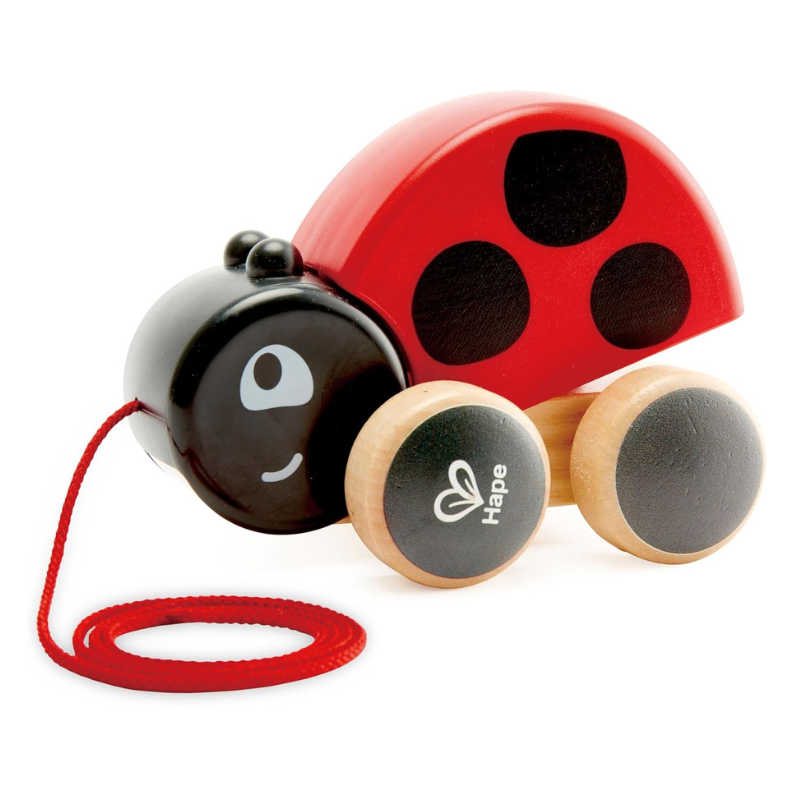 Ladybug Pull Along E0362 - Image 3