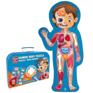 Human Body Puzzle E1635