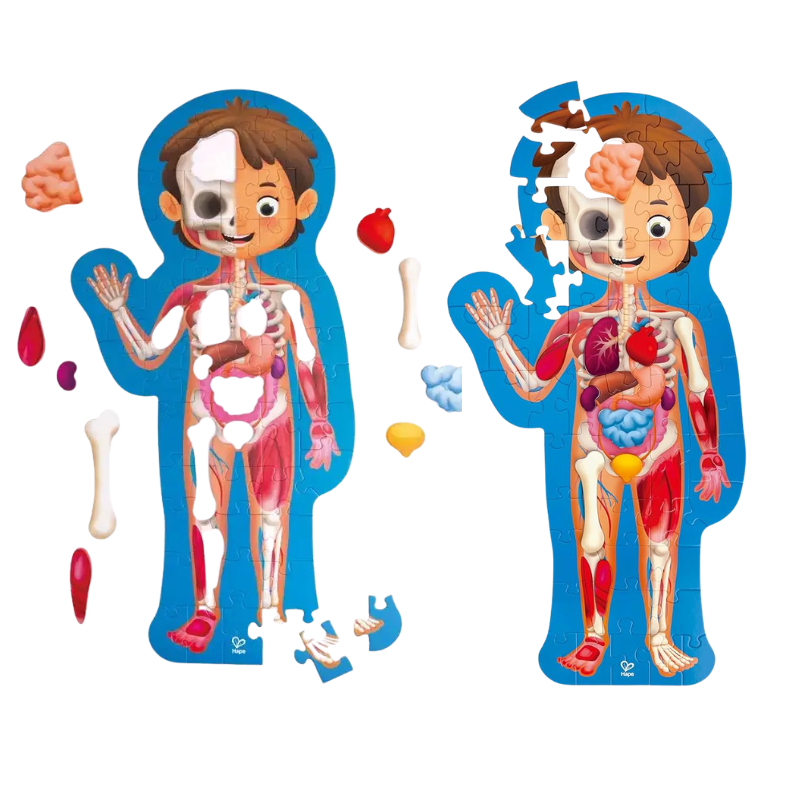 Human Body Puzzle E1635 - Image 3