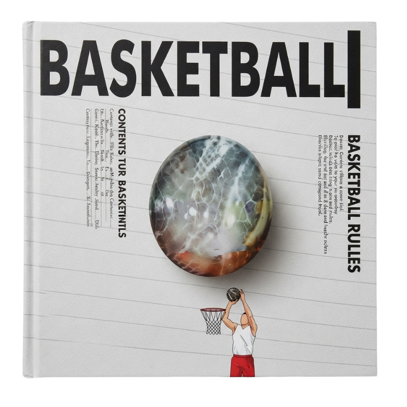 TELOON BASKET BALL HOOP SBA1818